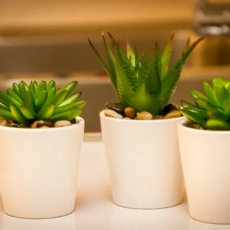 Seaside Serenity Corner By Aura