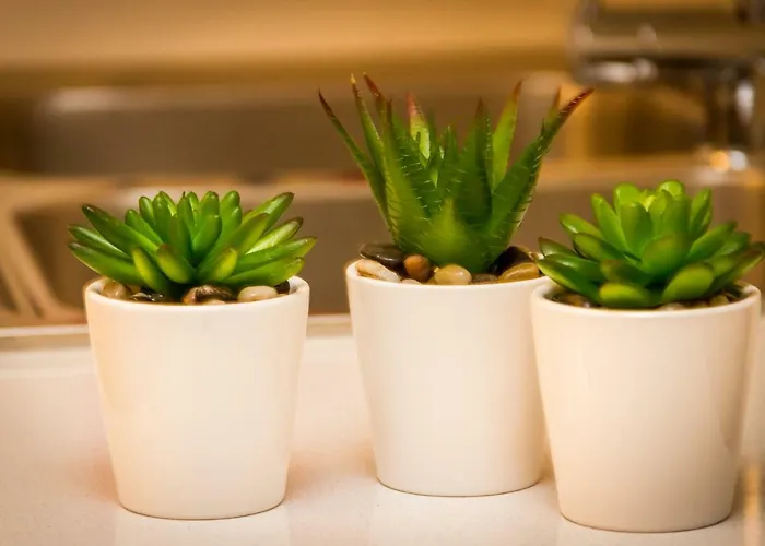 Seaside Serenity Corner By Aura